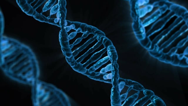 Photo of blue DNA strands on a black background